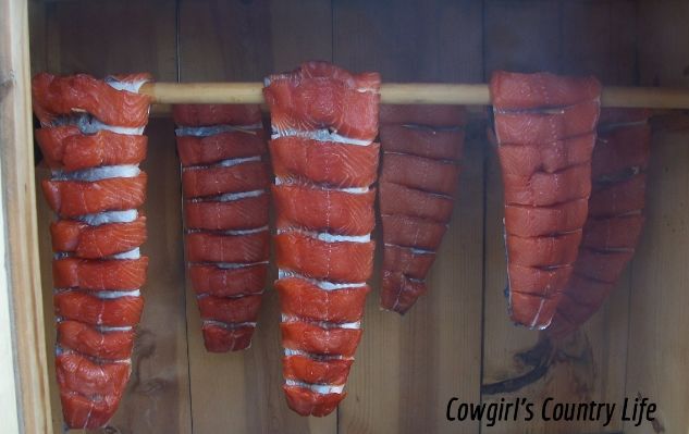 Cowgirl's Country Life Cold Smoking and Canning Salmon